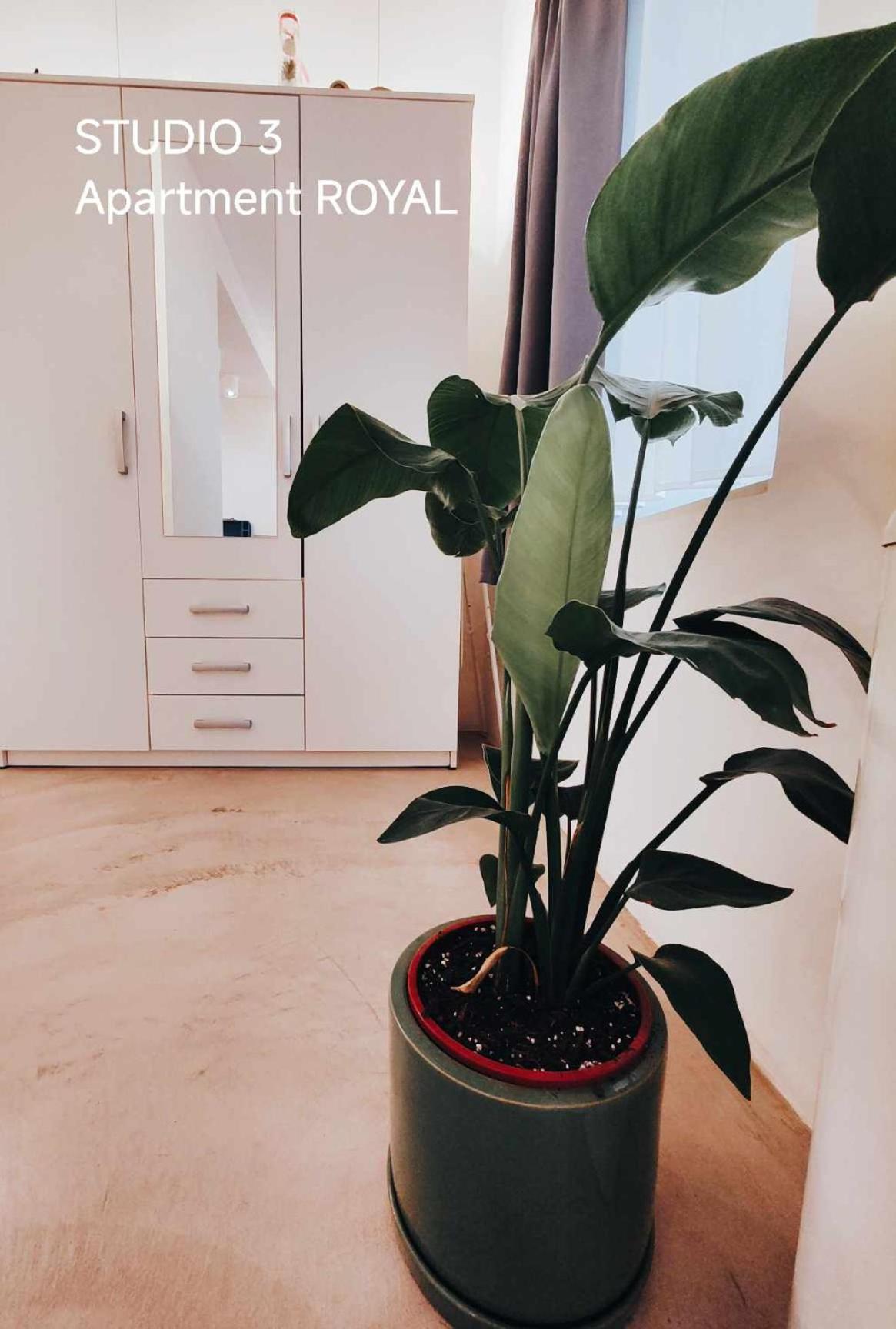 Pekarna Apartments Ljubljana Eksteriør bilde